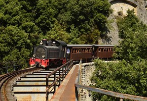 The Little Train of Pelion