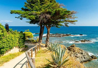 Walk & Tour: Catalonia’s Coast & Culture El Port De La Selva Trail