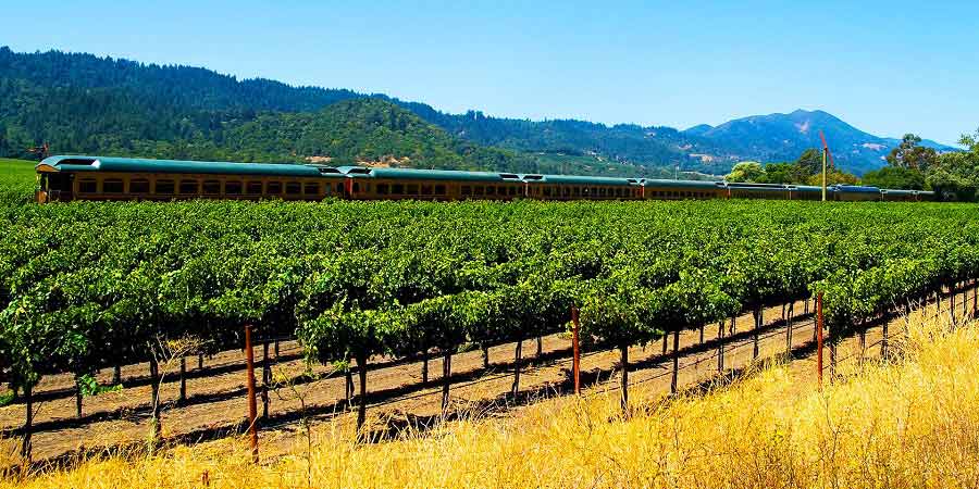 Weaving through wine country on the Napa Valley Wine Train