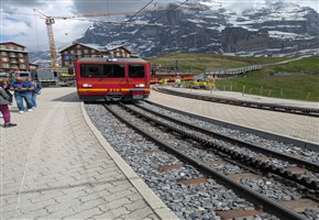 Amanda
